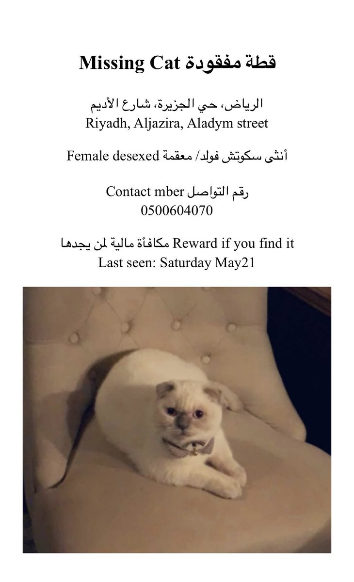 Open Paws tweet media