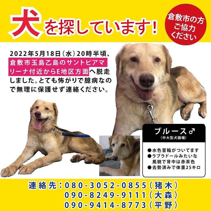 小百合on Twitter T Co 57ovucfoeh Twitter 小百合on Twitter T Co 57ovucfoeh Twitter