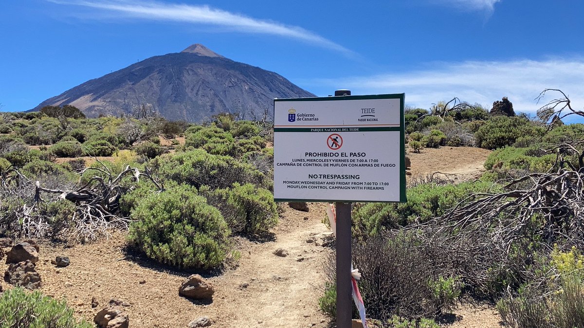 ADayOnTenerife's tweet photo. #beautiful #canarias #tenerife #ElPortillo #LaFortaleza #teide and happy me ;-))) https://t.co/FUSPfZUFaM