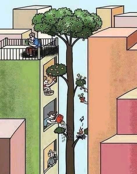 We all benefit from the trees please let us keep them.🙏🙏 please follow me on my journey to save the world
