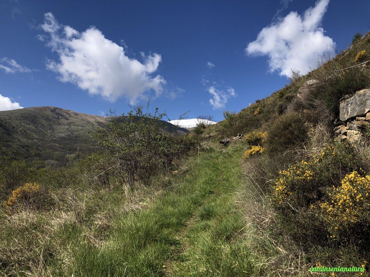 caminsnatura's tweet photo. 📸 Camí de #Sorre a #Bernui.
📍 #PallarsSobirà. https://t.co/dHGx2oD0qv