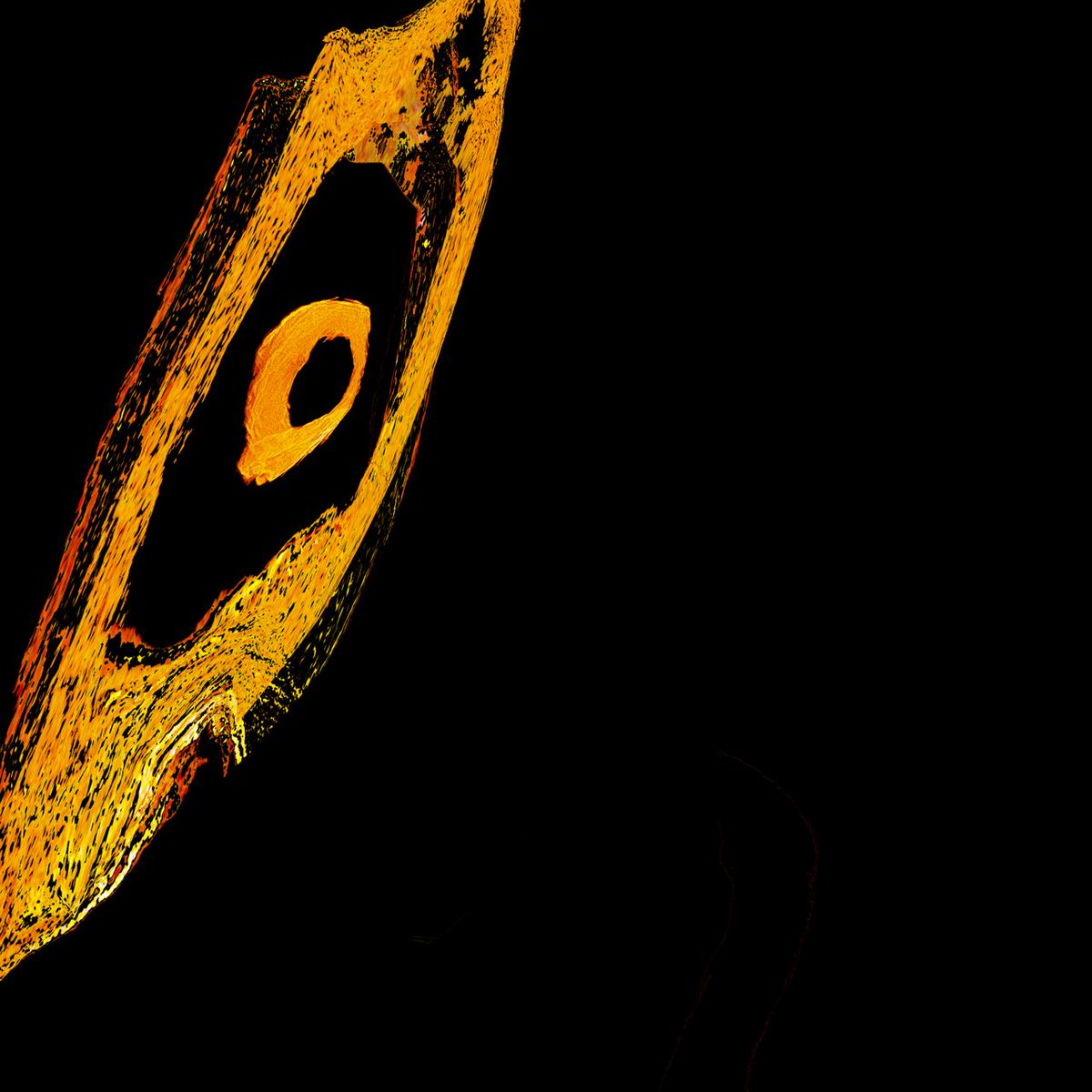 Le Cabanon tweet media