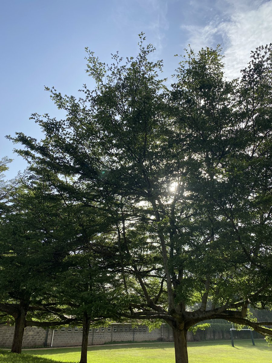MumbaMusondam's tweet photo. A lovely & healthy new week Tweeps β¦.started my day with a 4km walk listening to @Oprahβs Podcast Super Soul - priceless ππ½π€©ππΎ #MovementIsEverything https://t.co/9vgXA1UIa1