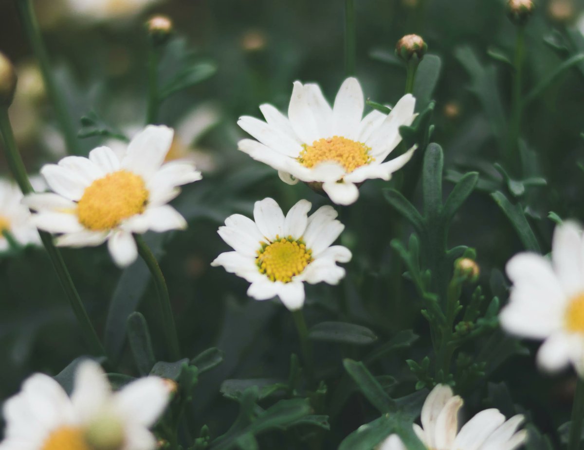 Een reminder aan onze dienstverlening met Hemelvaart: vzt.nl/nl/nieuws/actu…
#transport #logistiek #sierteelt #dienstverlening #feestdagen