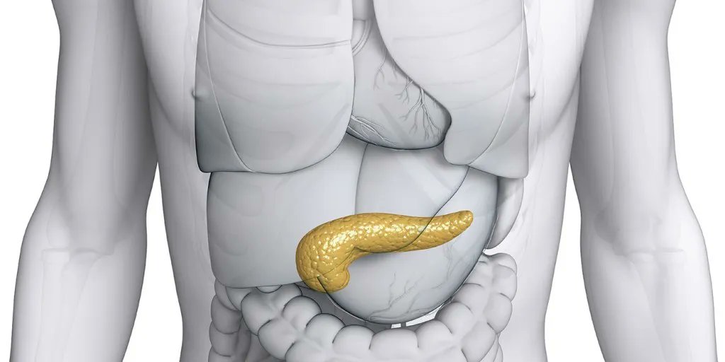acilci_net's tweet photo. Eskilerden:
Akut Pankreatit Yönetim Kılavuzu
Öner Bozan @acilci_net için yazdı:
https://t.co/v0pWTT3BPy
#FOAMed #AGA #alkol #amilaz #ercp #gastroenteroloji #karınağrısı #lipaz #pankreas #pankreatit #safra https://t.co/kP8OQrwCXZ
