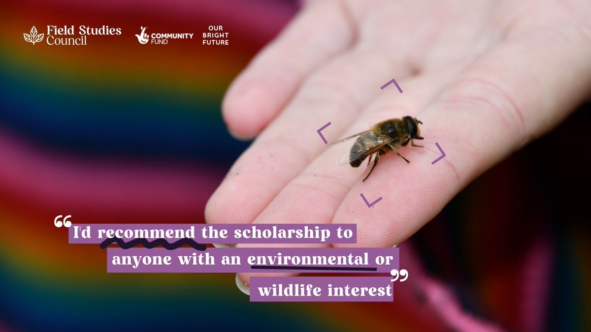 Less than 2 weeks to go, so get your applications in.⏰
Are you aged 16-25, fascinated by the natural world and want to gain experience?🍃
#YoungDarwinScholarship is back! Connect with like-minded young people, learn new skills and have a great time 🙌
👉ow.ly/I9sZ50Je2Mj