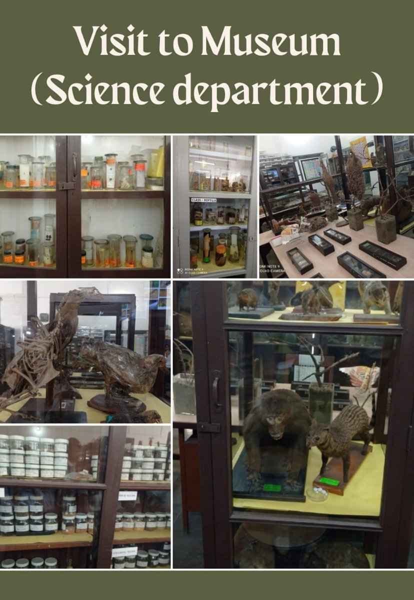 STSWSRAJGOMAL's tweet photo. A visit to the Zoology and Botany Department of Lyallpur Khalsa College, Jalandhar was organised for the students of Grade XII of STS World School to observe International Day for Biological Diversity.    @cbseindia29 #SDGs #BiodivesityDay #SustainableLife @Prabhjo60556013 https://t.co/LF2Mo2Zg6U