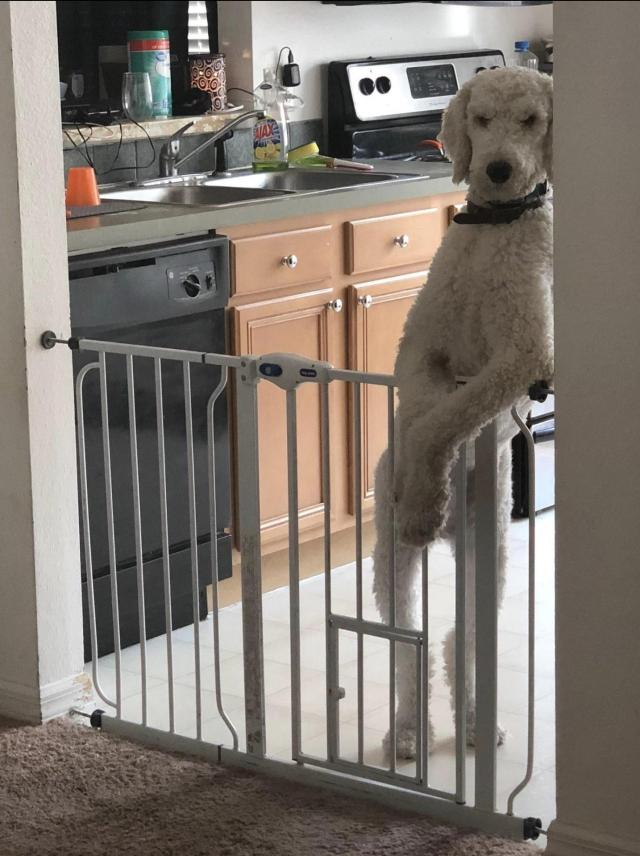 Uncle Ray (@shigarayki) on Twitter photo 