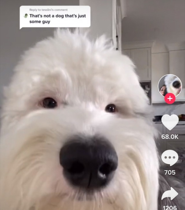 Uncle Ray (@shigarayki) on Twitter photo 