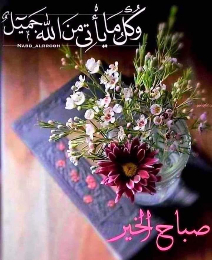 صباح الورد والياسمين لكافة متابعيني الحلويين