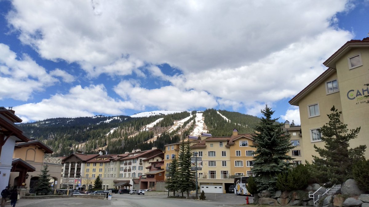 Elsa Chu tweet media