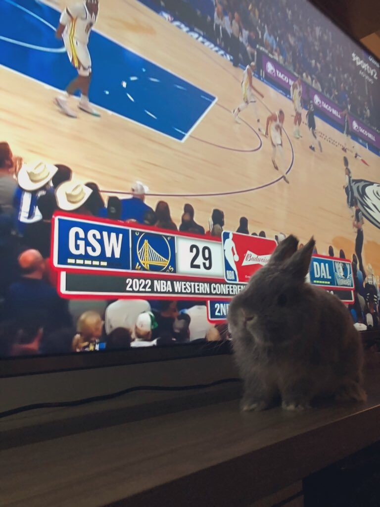 Alessandroclima's tweet photo. Cookie na #NBAnoSportv https://t.co/nocbvUq2XU