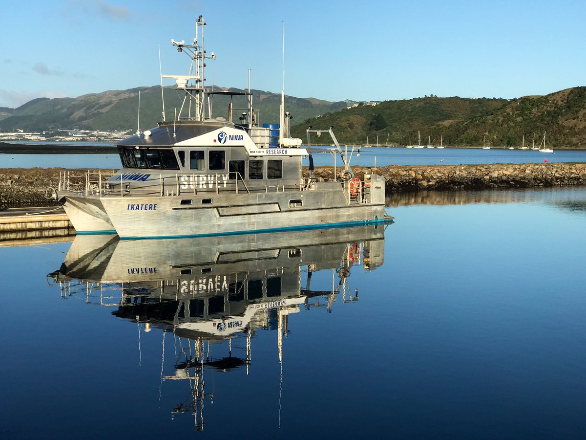 The calm before the science 😌@niwa_nz’s Ikatere ready to deploy drifters and run ADCP transects in the strait today 🌊