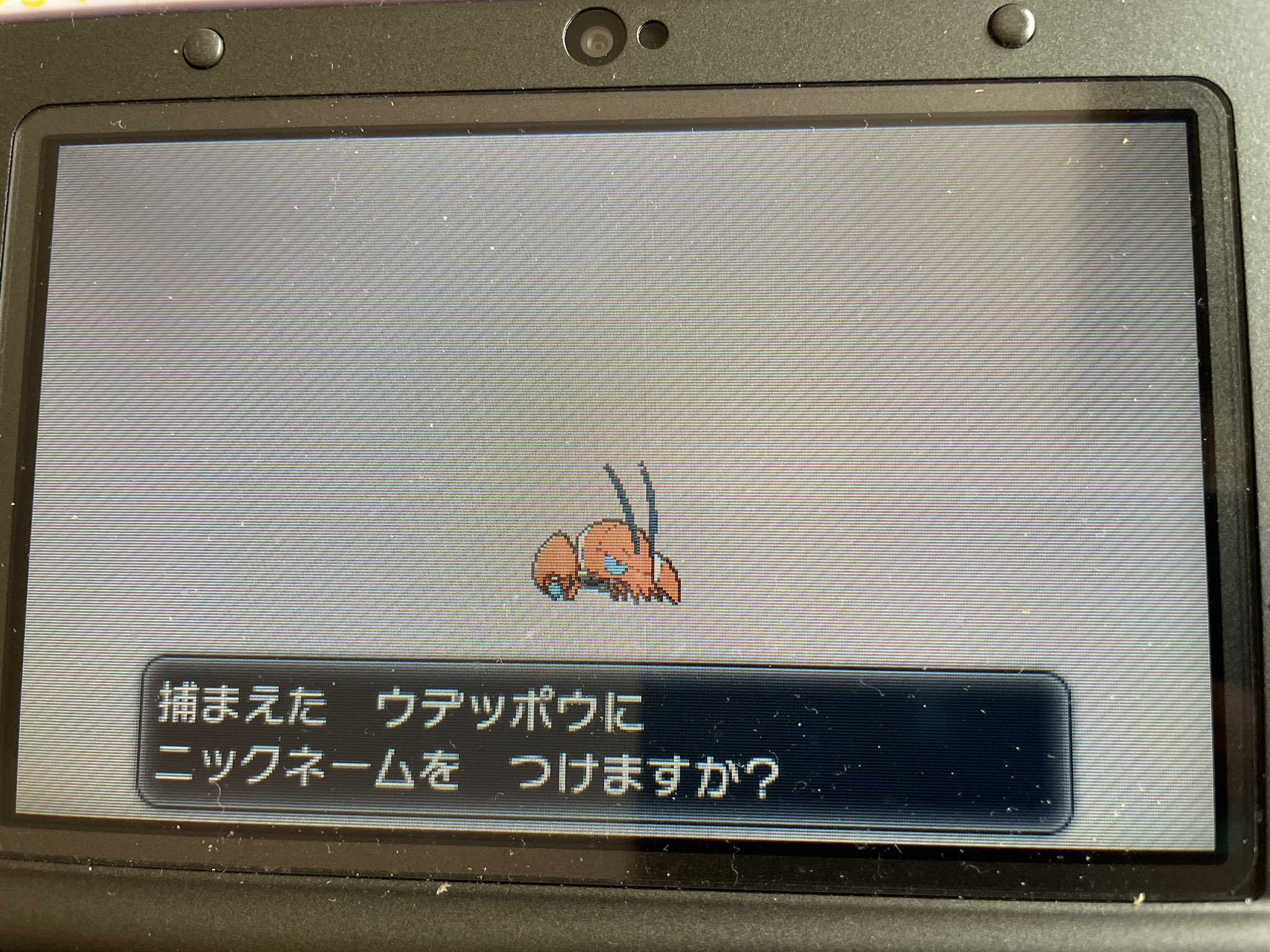 ポケモンｘy Twitter Search Twitter