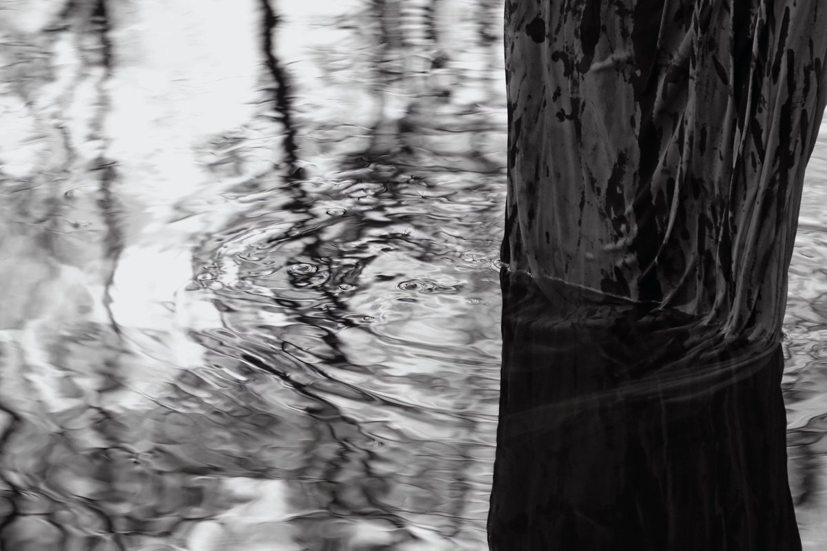 _growth revolution | tweet media