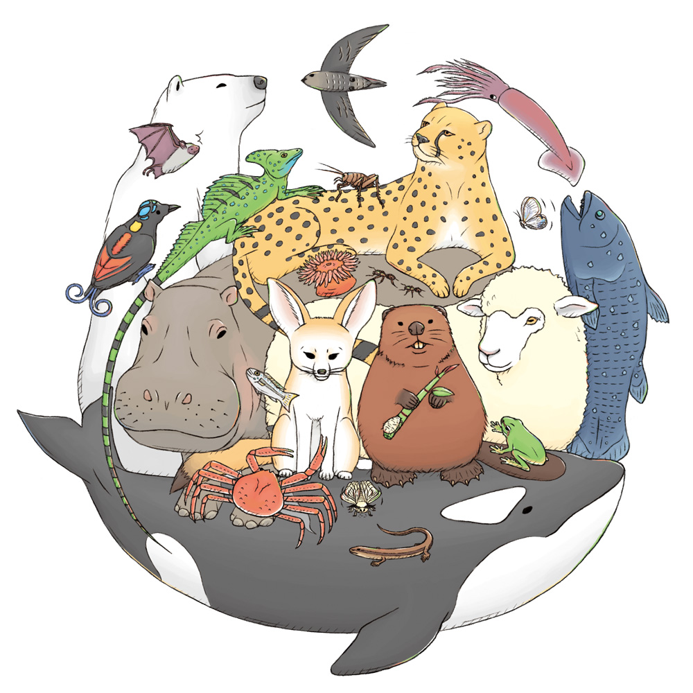 昨日は、#国際生物多様性の日🌏 作品を通して生き物のことを伝えていけ