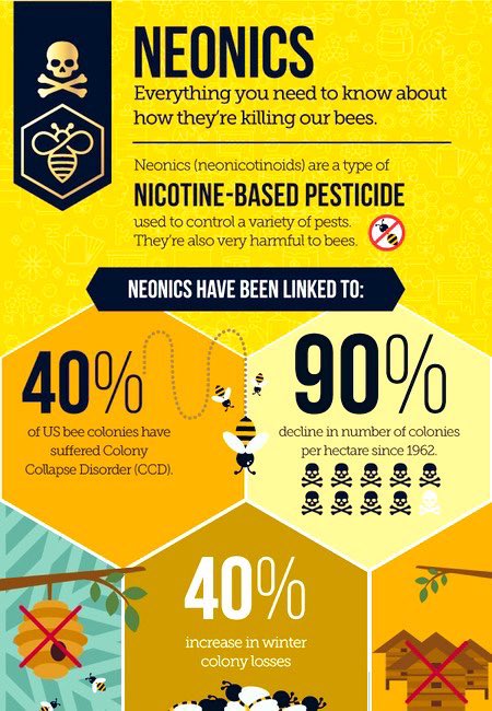 BeeWorldNft's tweet photo. How can you help our rapidly declining #Bee population?

Do NOT use Neonicotinoid pesticides. 🚫☠️🐝☹️

#SaveTheBees 
#biodiversity 
#GardeningTwitter https://t.co/sBaQWbZYqq