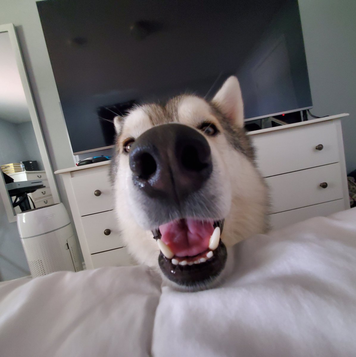 Miss_Leadinq's tweet photo. @TheGoldenRatio4 Twist it! https://t.co/3uNeY7LR5D