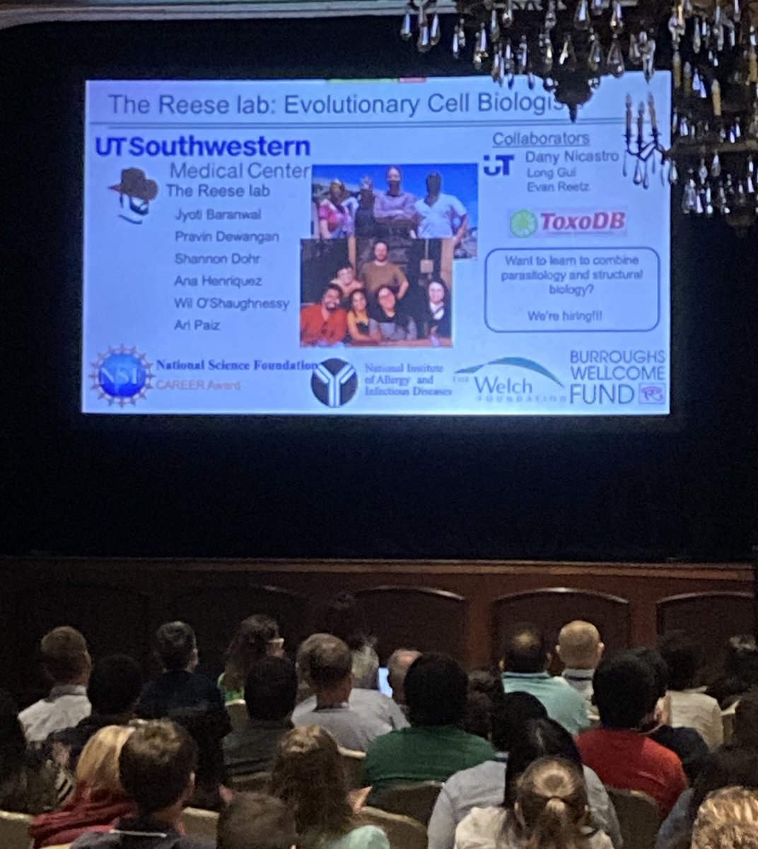 veupathdb's tweet image. Acknowledgement slides are a great way to thank the people who did the work, people who provided resources and collaborators but don’t forget to thank the database resources that you use. Thanks @reeselab1 for adding the #ToxoDB logo to your slide #ToxoXVI
