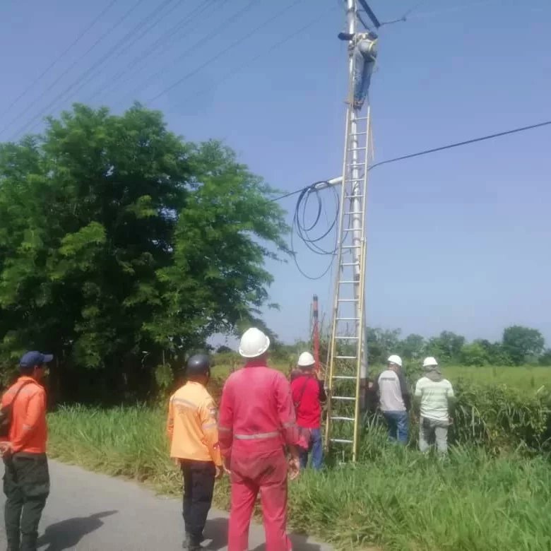 ManuelPenaA's tweet photo. #22May | Con la finalidad de proteger las líneas de alta y baja tención, el equipo de electricidad de la Alcaldía de Pampán, un trabajo en conjunto con Corpoelec y Protección Civil, ejecutó la pica y poda en el circuito Monay I y Monay II, dando como resultado 100 podas y 8 talas https://t.co/TGtx5RkqCK