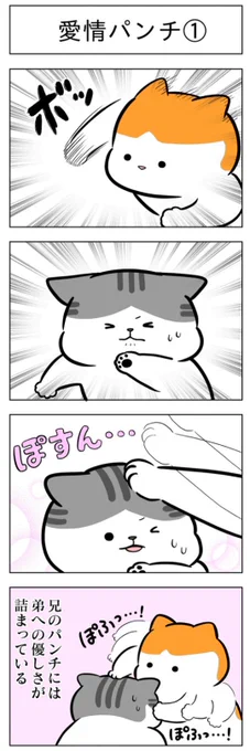 「愛情パンチ」
(はる蔵さんの「ふうらい日和」第49回)

つづきはこちら⇒
https://t.co/NxVqoo6h1i 