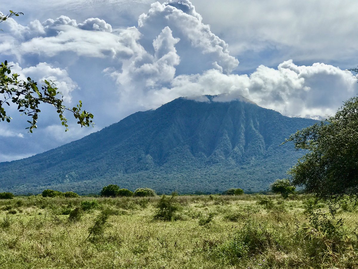 Denald's tweet photo. Taman Nasional Baluran - Situbondo. Jawa Timur.

Selain bisa melihat Rusa, Merak, beberapa hewan lainnya, di sini jg monyetnya buanyaakkk.

Klo sdh ke Baluran, sekalian juga ke Pantai Bama yg super cantik pasirnya. 

Beruntung letak rumah tinggal koprol jadi sewaktu2 bisa mampir. https://t.co/xtFUuR60GY