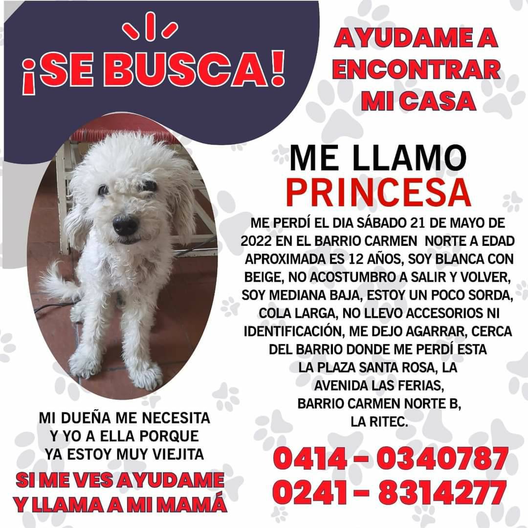 Su familia busca a Princesa, Carabobo