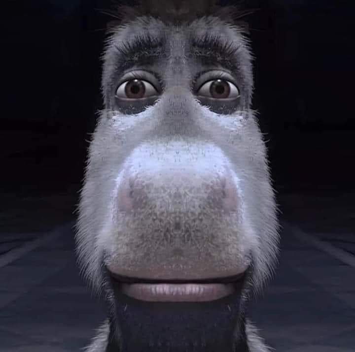 AcenixPosting_'s tweet photo. Yo viendo como ya vamos para mitad de año, aún no tenemos especial de 10 millones y Ace sigue sin subir a los 11 millone: https://t.co/SjGiGH4AI2
