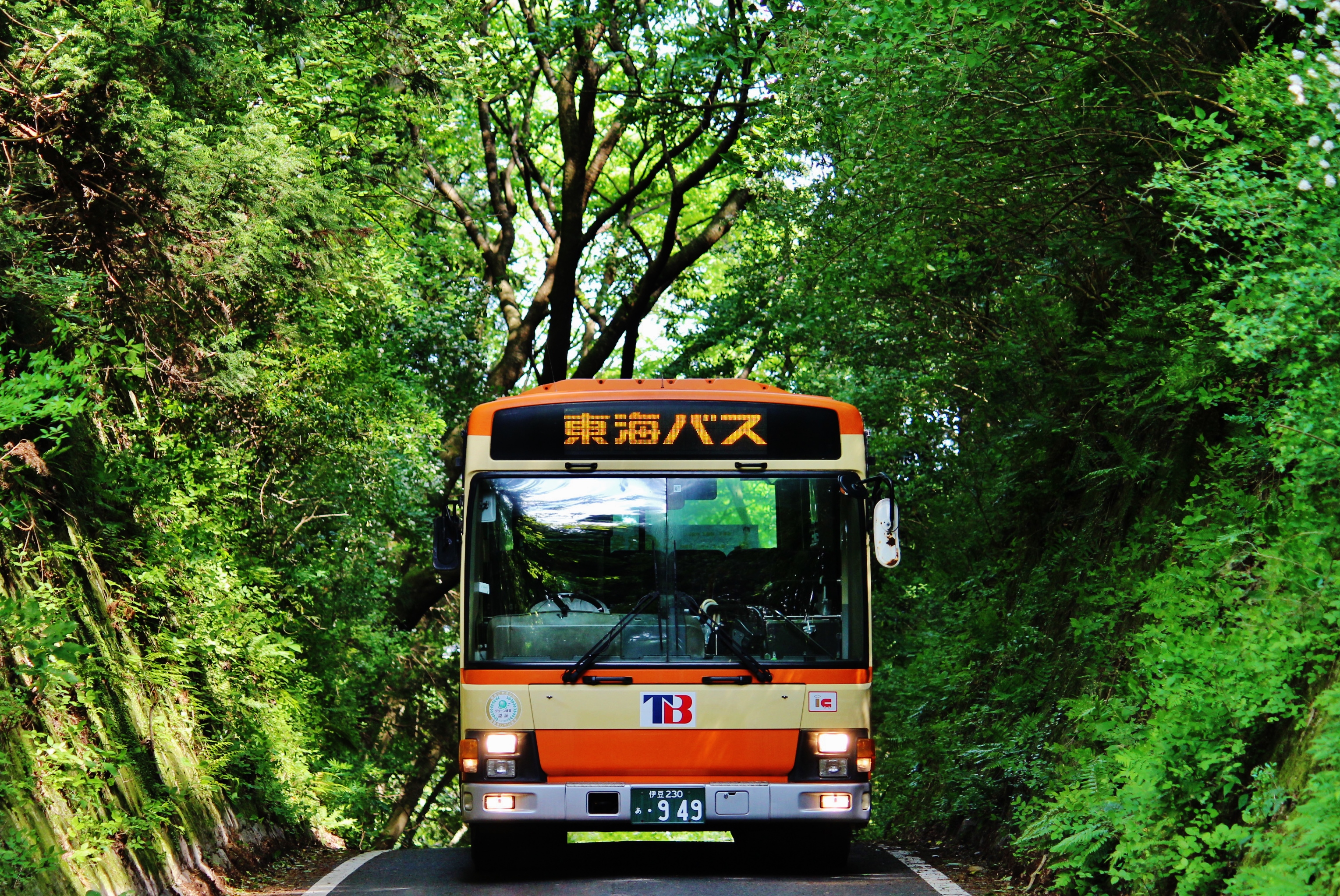 公式】東海バスTokaiBus on X: 公式】東海バスTokaiBus on X: