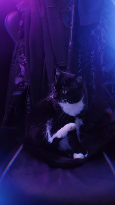 👀 💦  Can I help you? https://t.co/AgHm64Iggy<a href="/tag/cosplay"class="tags"><span>#cosplay</span></a><a href="/tag/ttrpg"class="tags"><span>#ttrpg</span></a><a href="/tag/exaltedrpg"class="tags"><span>#exaltedrpg</span></a>