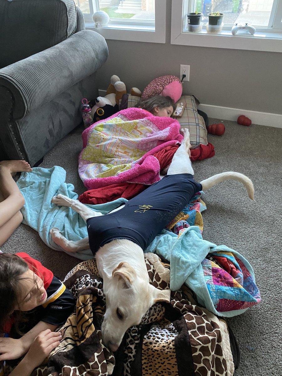 This game does not appear to be very exciting for the flames fans in the house…#LetsGoOilers #BattleofAlberta