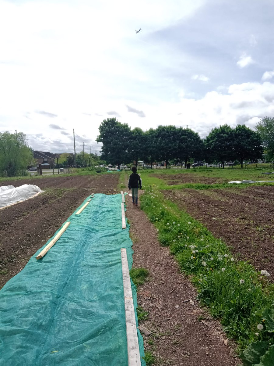 BlackfarmersT's tweet photo. Join us every Sunday to "Welcome &amp; Teaching Garden". Our Green School for 2022 is in session..for more information contact us at blackfarmersto@gmail.com  #collective2030 🌾🌽🍓🥕🥔🥦🥒🌽 https://t.co/4DSaodvj80