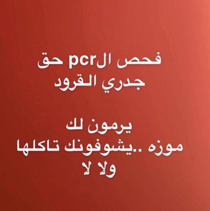 basma5522's tweet image. 😩😩😩😩