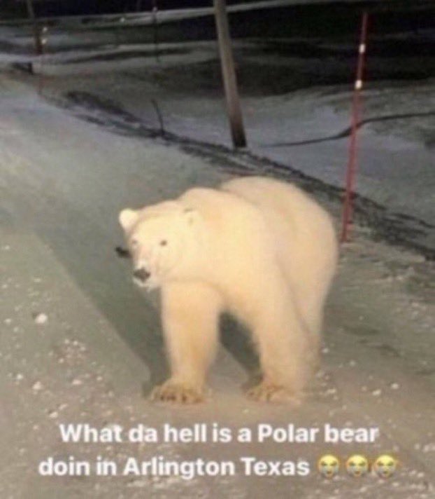 retnicholas tweet media