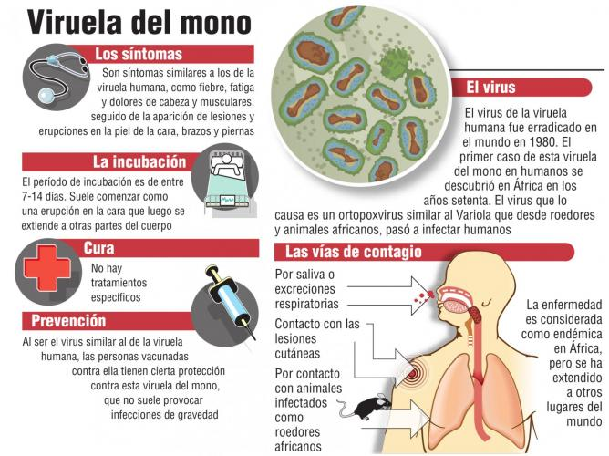 carayarez2021's tweet photo. #PautaLibre #ToleranciaCero #ENacional Qué Rápido Se Propaga Los #Virus de Un Continente a Otro✈️ o Será que Vienen en Las #Vqnas 💉#Oxford #AstraZeneca #MataEstrellas #Vqna 💉#VectorViral Elaborada Con #Adenovirus de #Chimpance 🐒#ViruelaDelMono 🐵en #Europa🇪🇺 y #Argentina 🇦🇷 https://t.co/OLwVBUgOcT