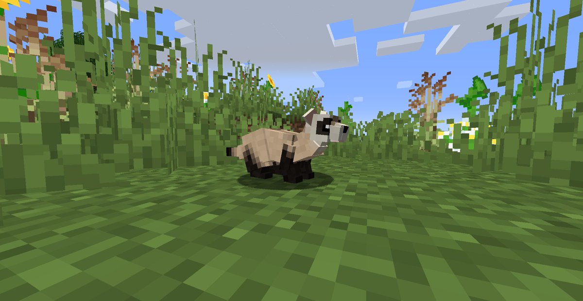 zawamod_evolved's tweet photo. It is finally here! The Carnivora Update is live!!! Featuring 4 carnivorans: Giant Panda, African Lion, Snow Leopard and the final member, the Black Footed Ferret are now available to you all! We can't wait to see what you all build for these! https://t.co/dCCVULX2YZ https://t.co/nucKesiE5G