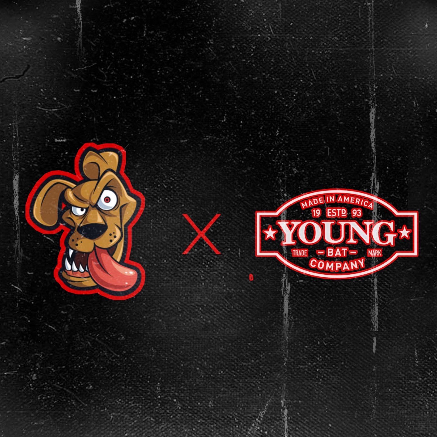 Dungeon Dogs Baseball (@Dungeondogbball) / Twitter