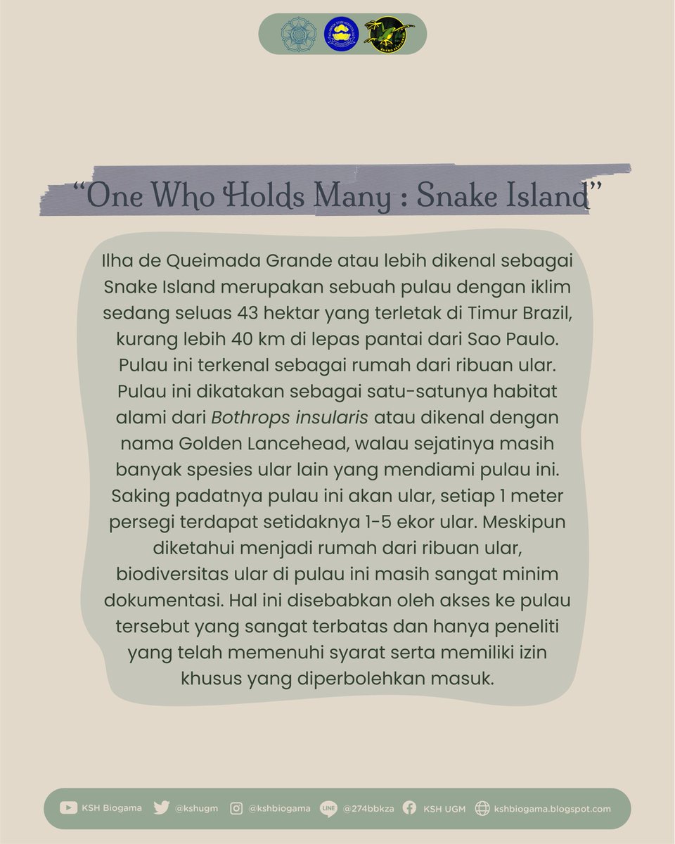 KSH Biogama tweet media