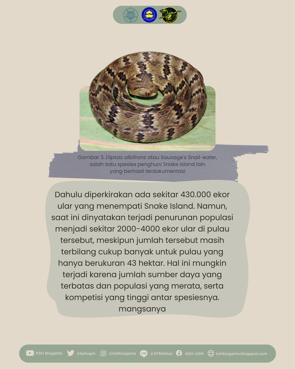 KSH Biogama tweet media