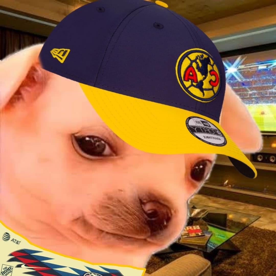 kesiperrito's tweet photo. ayyy nonnnm https://t.co/HFKugoNupd
