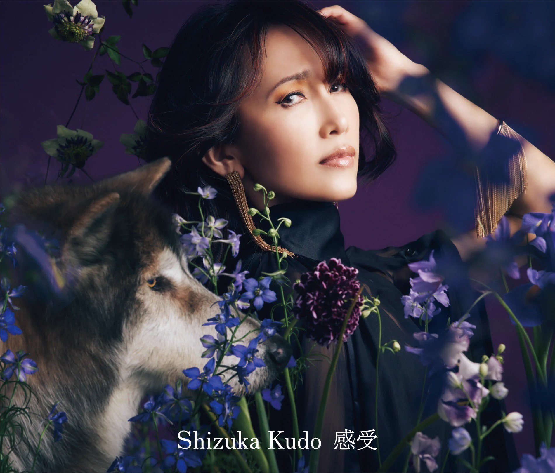 工藤静香.info on X: 