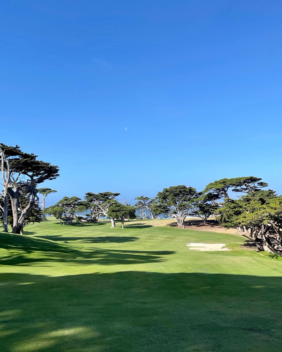 Another solid week at CPC, some warm windy weather but course starting to shine ready for member member next weekend. Sponging it up from some on the best in the business, roll on next week.