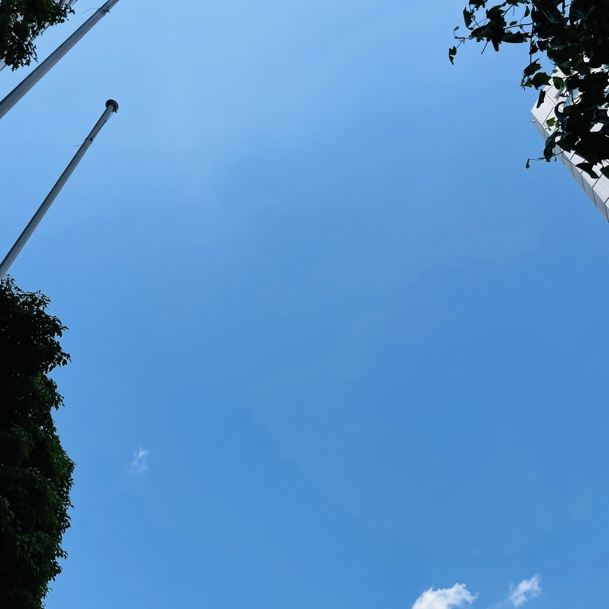 furusatogourmet's tweet photo. 今日も良い天気😊
関東は雨の日が増えてきましたが、晴れた日は外に出たくなりますね🌈

6/26(日)は上野御徒町パンダ広場🐼でイベントを開催いたします‼️
是非お越しください🍀
...晴れますように✨

#青空 #良い天��� #関東の空 #ふるさと 
#ふるさとグルメてらす #ふるてら 
#マルシェ #マルシェ開催 https://t.co/HaTw9T2uJS