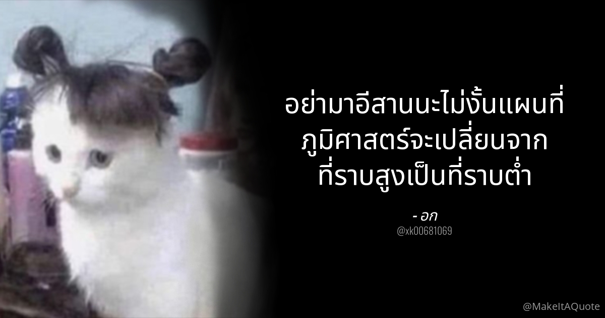 Make it a quote tweet media