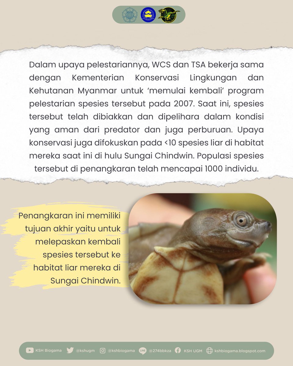 KSH Biogama tweet media