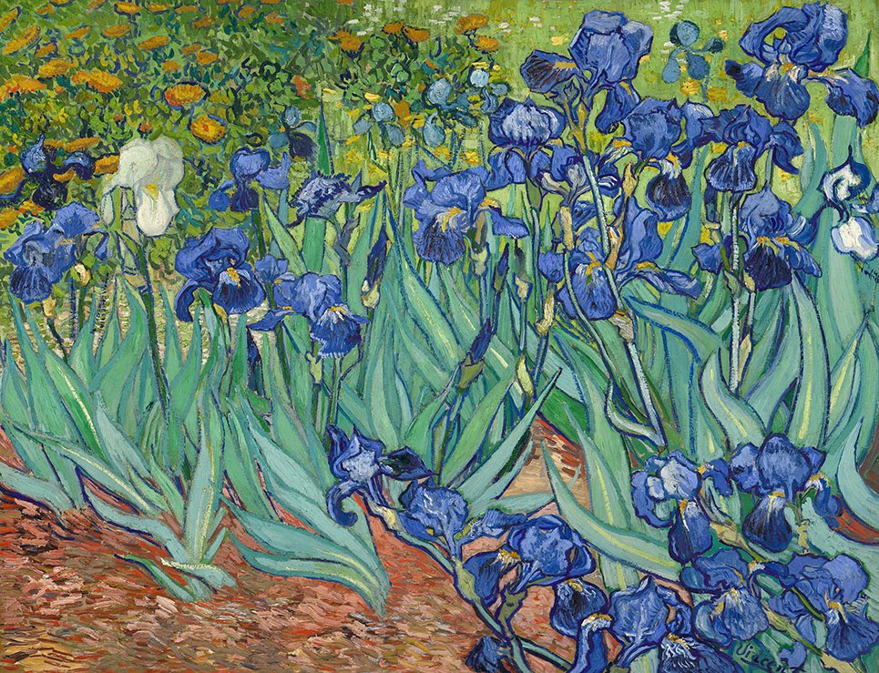 VanGoghTheLife's tweet photo. #VanGogh of the Day: Irises, May 1889. Oil on canvas, 74.3 × 94.3 cm. Getty Center, Los Angeles. @GettyMuseum https://t.co/TLGPzroQuG