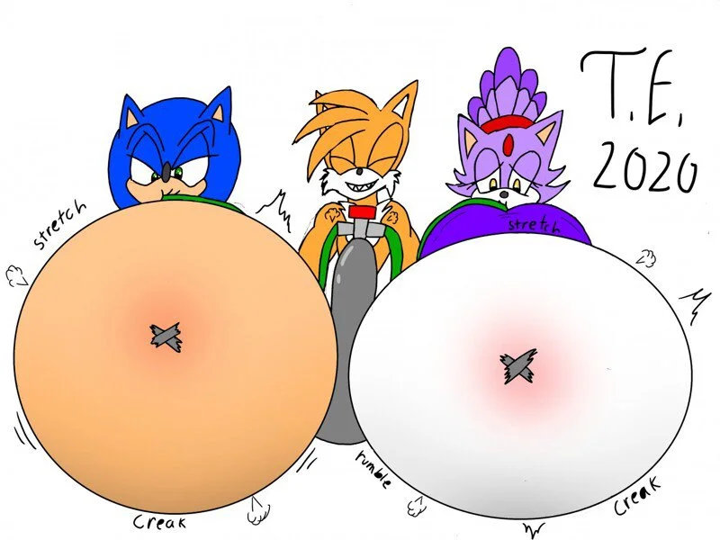 Sonic Inflation Lover tweet media
