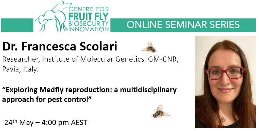 Fruit Fly ITTC tweet media