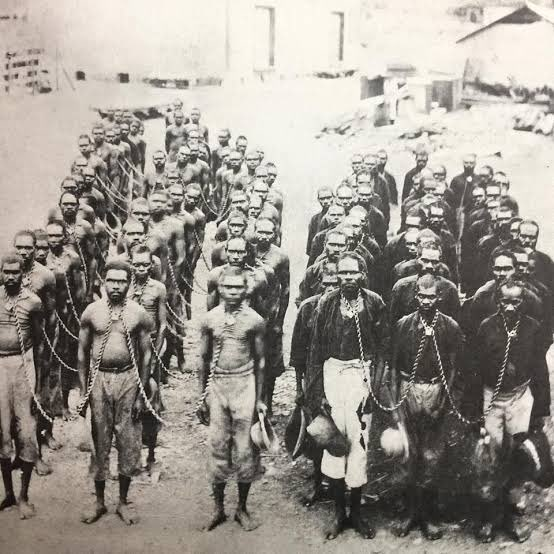<a href="/QandA/">QandA</a> <a href="/abcnews/">ABC News</a> "Mr Downer, you said that Blackbirding may have been awful by today’s standards but it wasn’t slavery. Slavery abolished in the British Empire in 1833. Blackbirding began in 1863."

Here's my question: What do you think the chains were for, PPE?