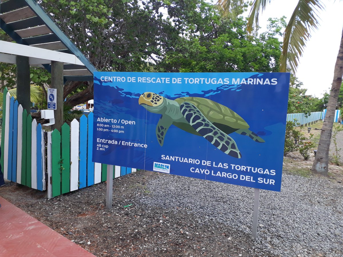MaraAlexis6's tweet photo. El Centro de Rescate de Tortugas Marinas de Cayo Largo del Sur, ejemplo de protección y cuidado de estos reptiles ancestrales en peligro de extinción. Felicidas a sus trabajadores este 23 de mayo. Dia Mundial de la Tortuga. @radiotainofm @isis76661649 @Reinierv6 @YanelkiG https://t.co/Nm7JdHdDke